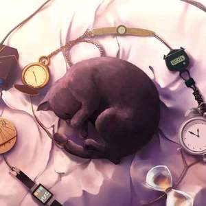 女性向做爱影片
